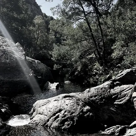 M Butterfly * Alvorge