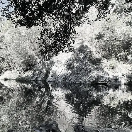 Apartamento M Butterfly Alvorge