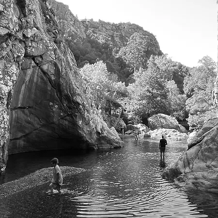 M Butterfly * Alvorge