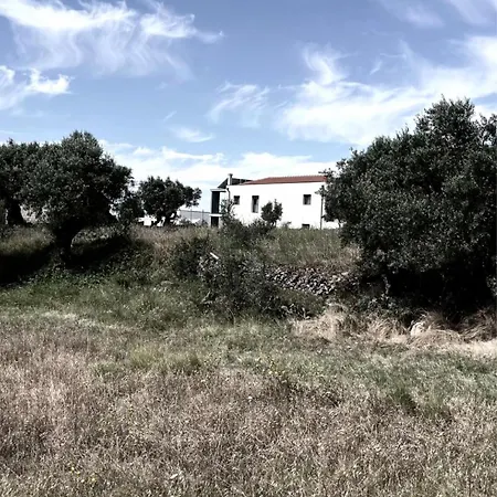 Apartamento M Butterfly Alvorge