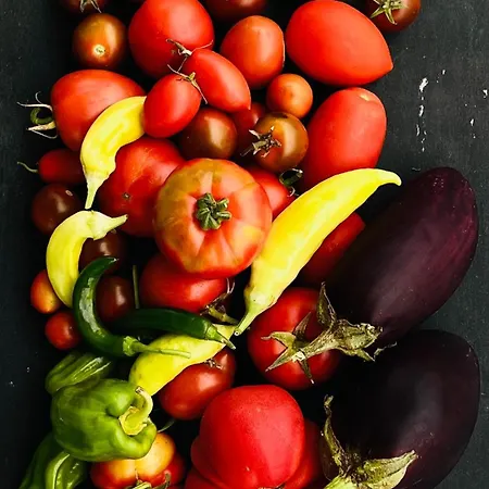 M Butterfly Appartamento