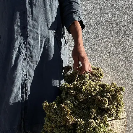 M Butterfly * Alvorge