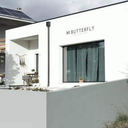 Daire M Butterfly *