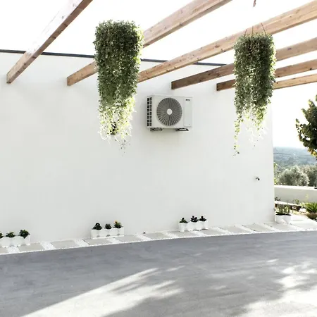 M Butterfly Daire Alvorge