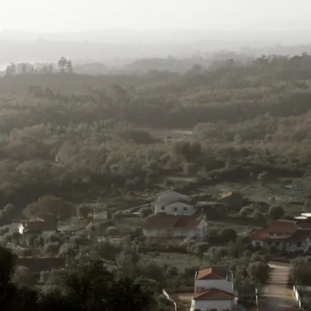M Butterfly Alvorge