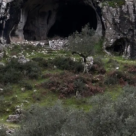 M Butterfly Appartamento *