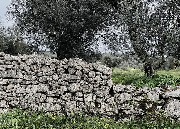 M Butterfly アパート