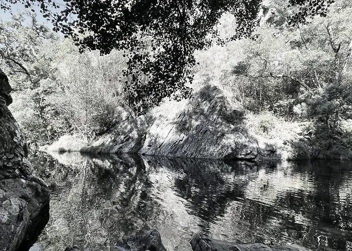 アパート M Butterfly Alvorge