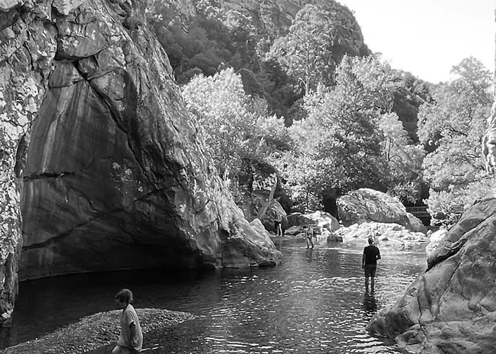 M Butterfly * Alvorge