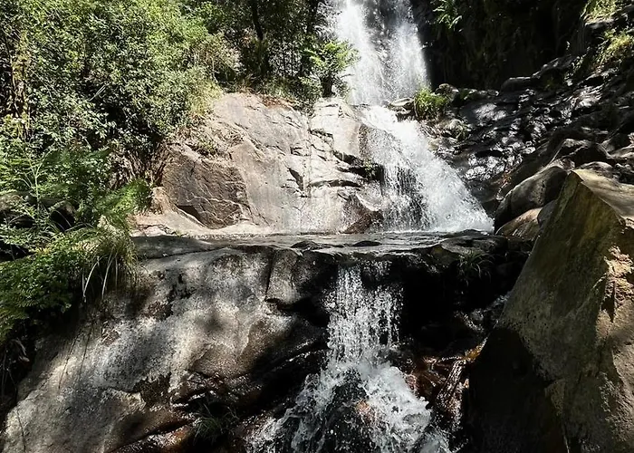 アパート M Butterfly *