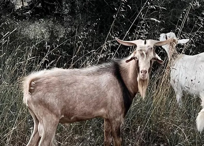 アパート M Butterfly *