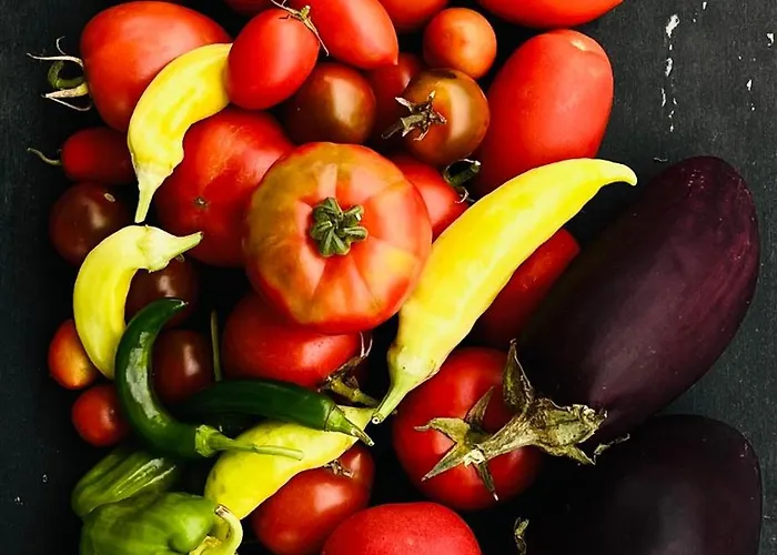 M Butterfly アパート