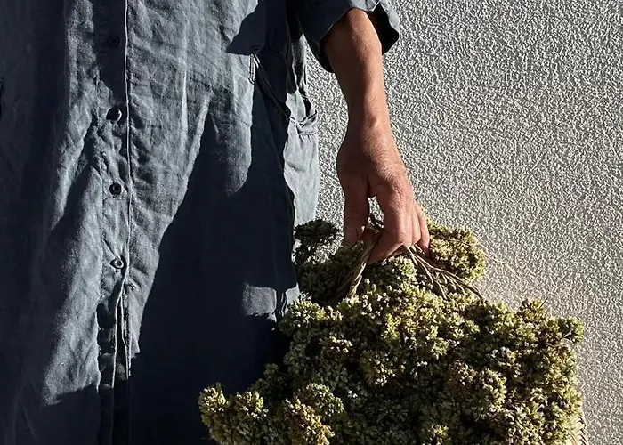 M Butterfly * Alvorge