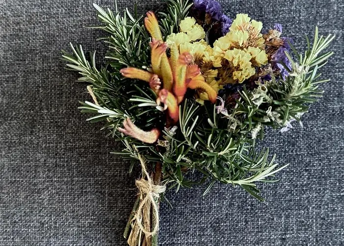 M Butterfly アパート