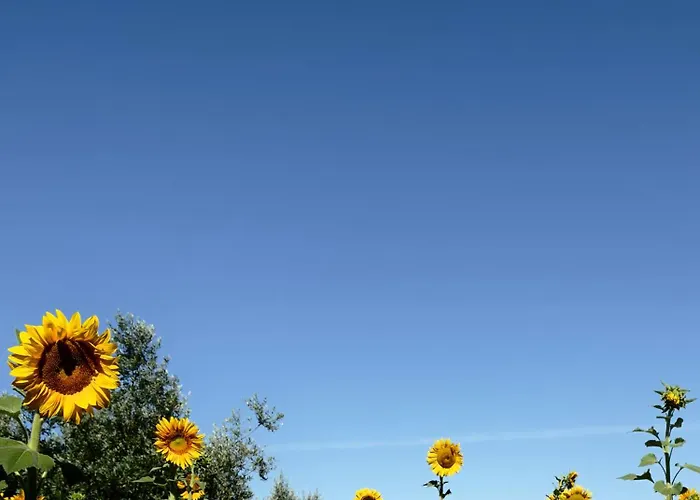 アパート M Butterfly Alvorge