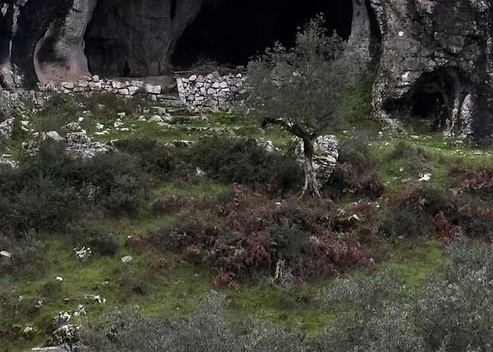 M Butterfly アパート *